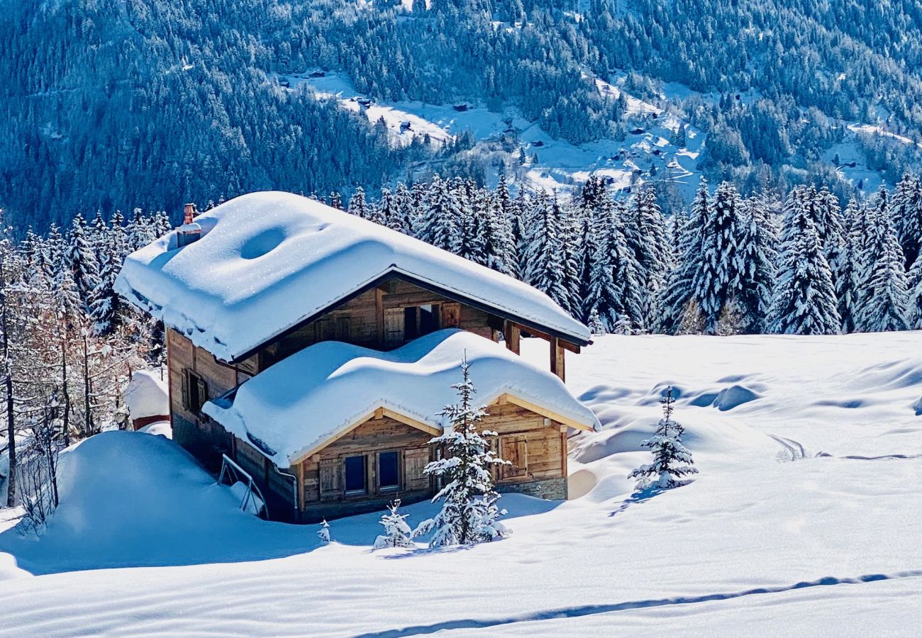 Chalet in Thyon-Les Collons - Paradis Perdu SKI IN & QUIET chalet 14 personnes