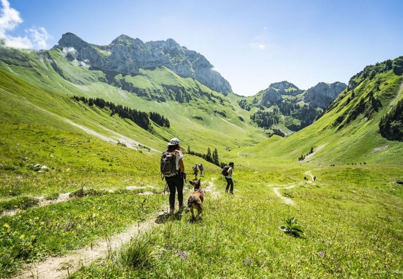 Appartement in Châtel - Mermy MYB10 TELECABINE & NATURE 4 Pers.