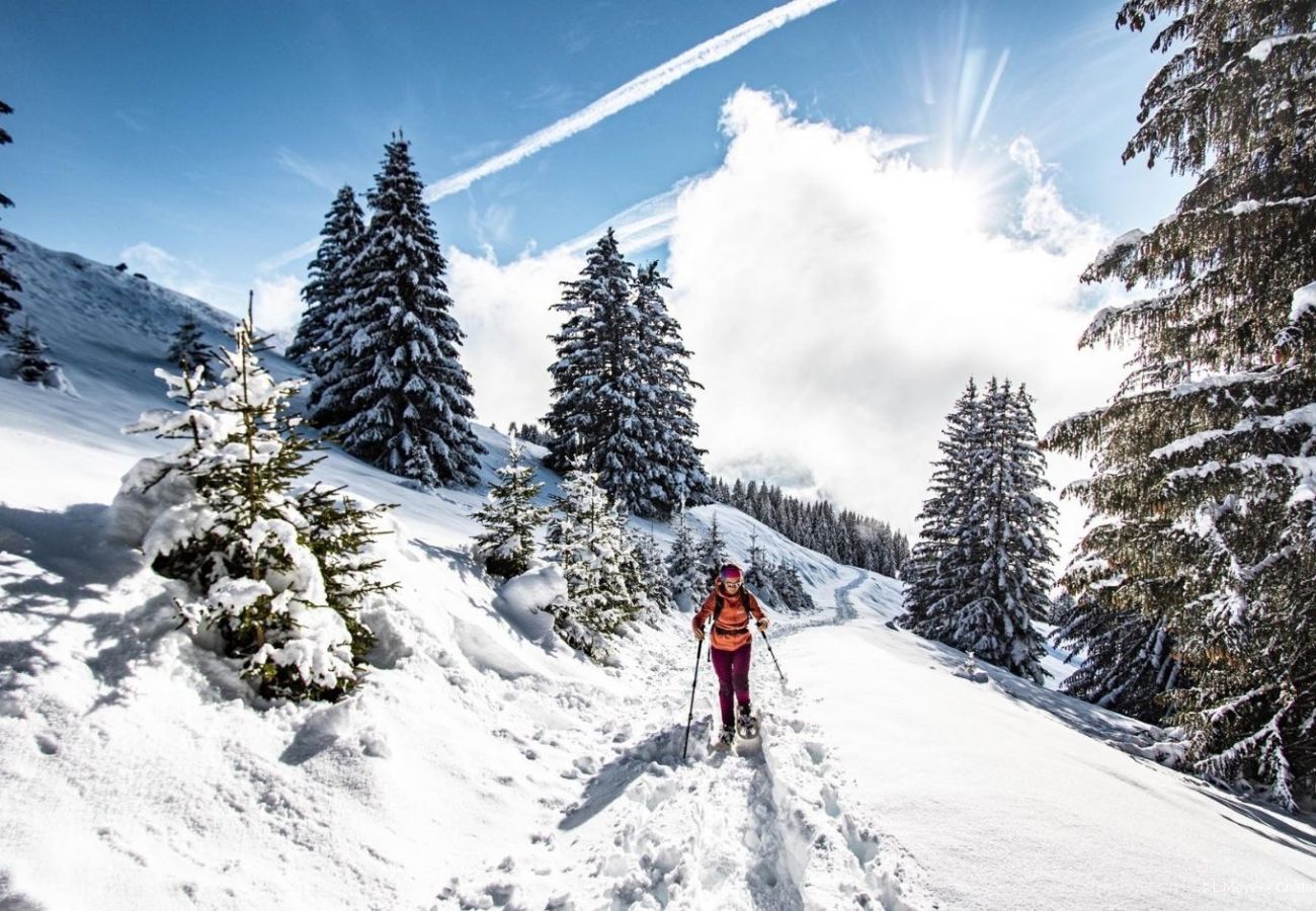 Appartement in Châtel - Mermy MYB10 TELECABINE & NATURE 4 Pers.