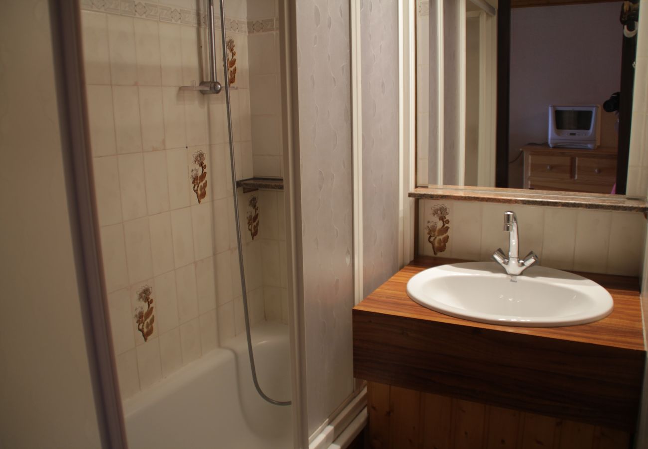 Appartement Biches BIA17 doucheruimte in Châtel, Frankrijk