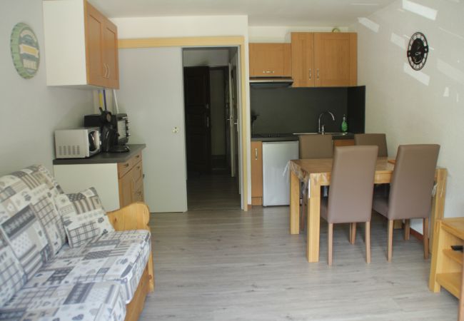 Studio in Châtel - Portes Du Soleil PSB204 TELECABINE & MOUNTAIN 4 pe Studio in Châtel - Portes Du Soleil PSB204 TELECABINE & MOUNTAIN 4 pe