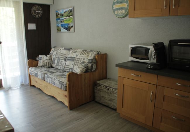 Studio in Châtel - Portes Du Soleil PSB204 TELECABINE & MOUNTAIN 4 pe Studio in Châtel - Portes Du Soleil PSB204 TELECABINE & MOUNTAIN 4 pe