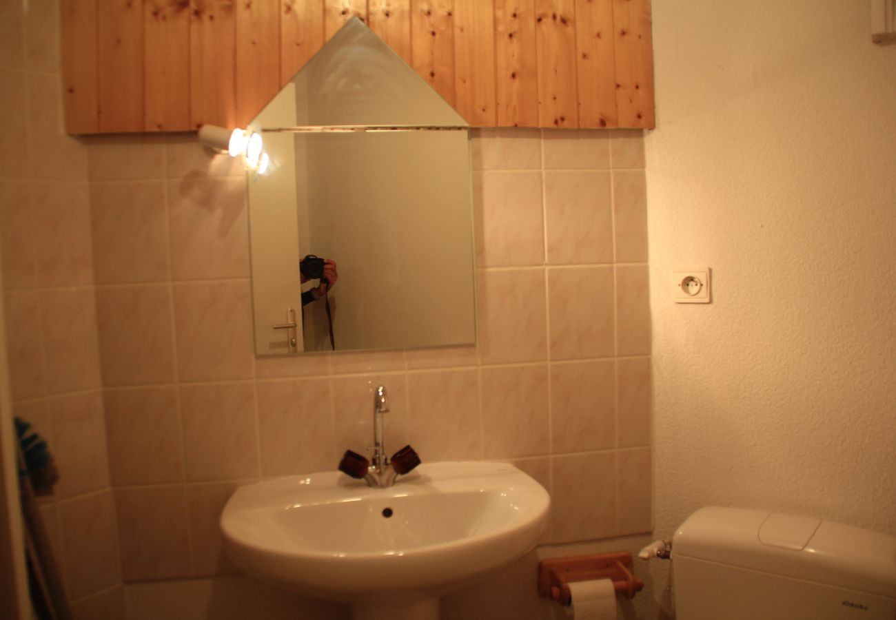 Appartement in Châtel - Forsythia FA29 FAMILY 1& NATURE 8 Pers.