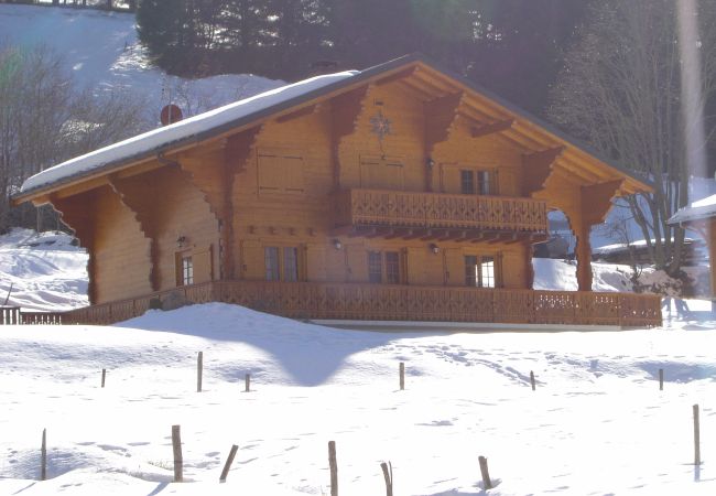 Villa in Châtel - Chalet Saint Eloy CSE COSY & NATURE 14 Pers.