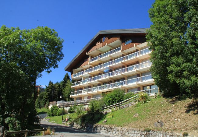 Appartement in Châtel - SOLARIUM SR27 COSY  & VIEW 4 Pers Appartement in Châtel - SOLARIUM SR27 COSY  & VIEW 4 Pers