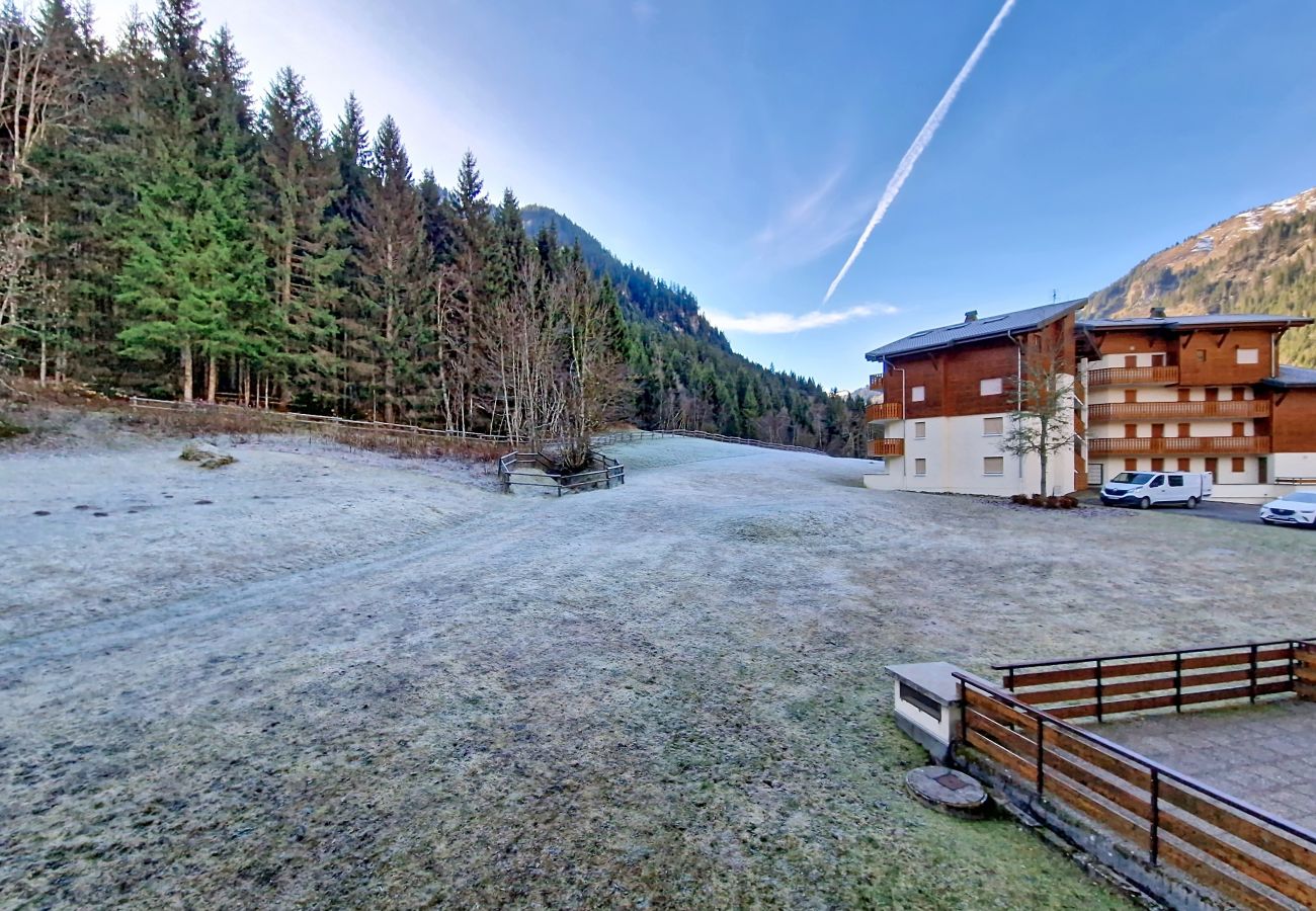 Appartement in Châtel - Violettes VL12  SKI & NATURE 4 Pers