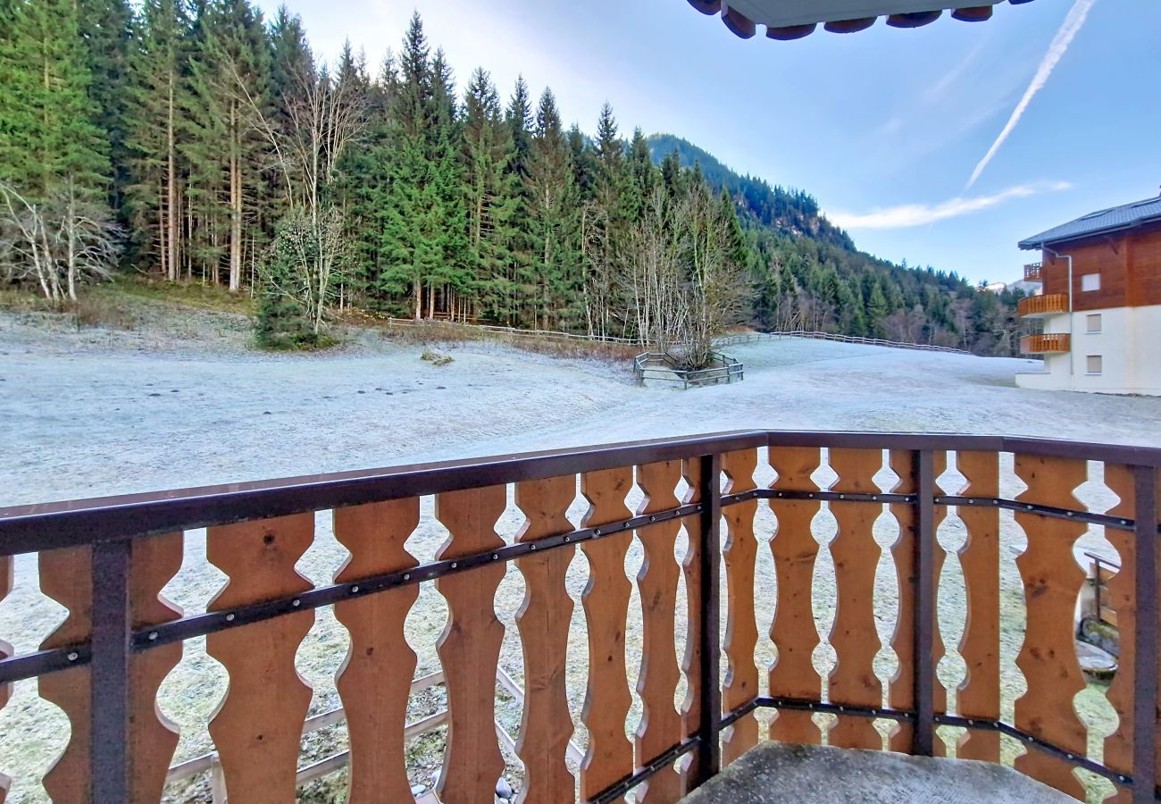 Appartement in Châtel - Violettes VL12  SKI & NATURE 4 Pers