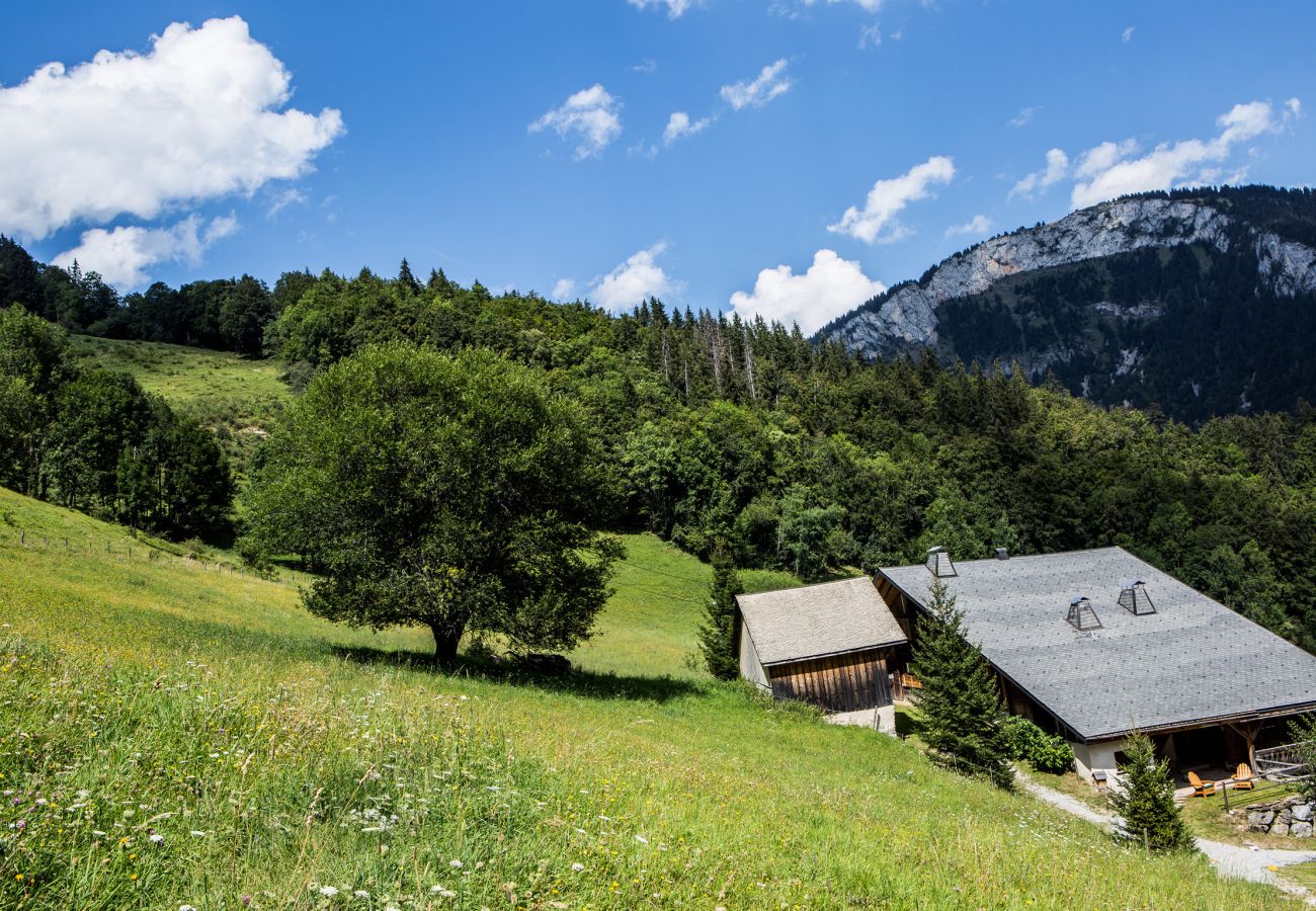 Uitzicht op Chalet Dorzin PORTES DU SOLEIL in Abondance, Frankrijk