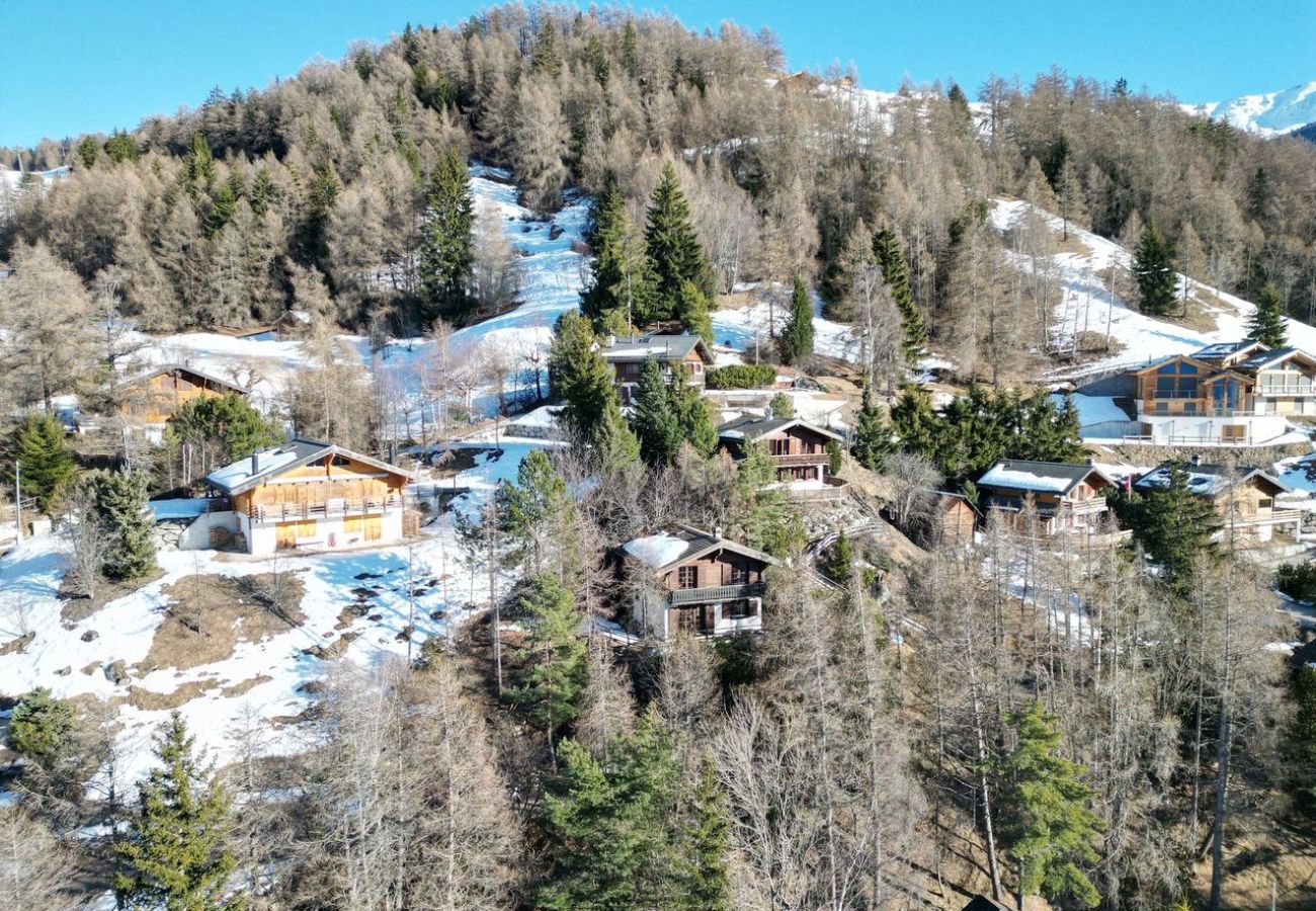 Chalet in Veysonnaz - Chalet Hibou MOUNTAIN & QUIET chalet 6 pers