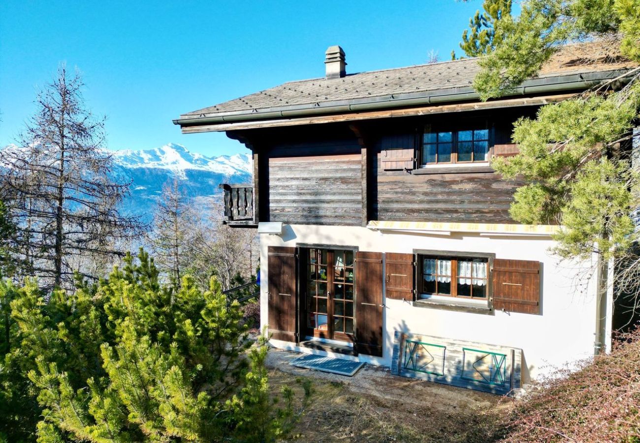 Chalet in Veysonnaz - Chalet Hibou MOUNTAIN & QUIET chalet 6 pers
