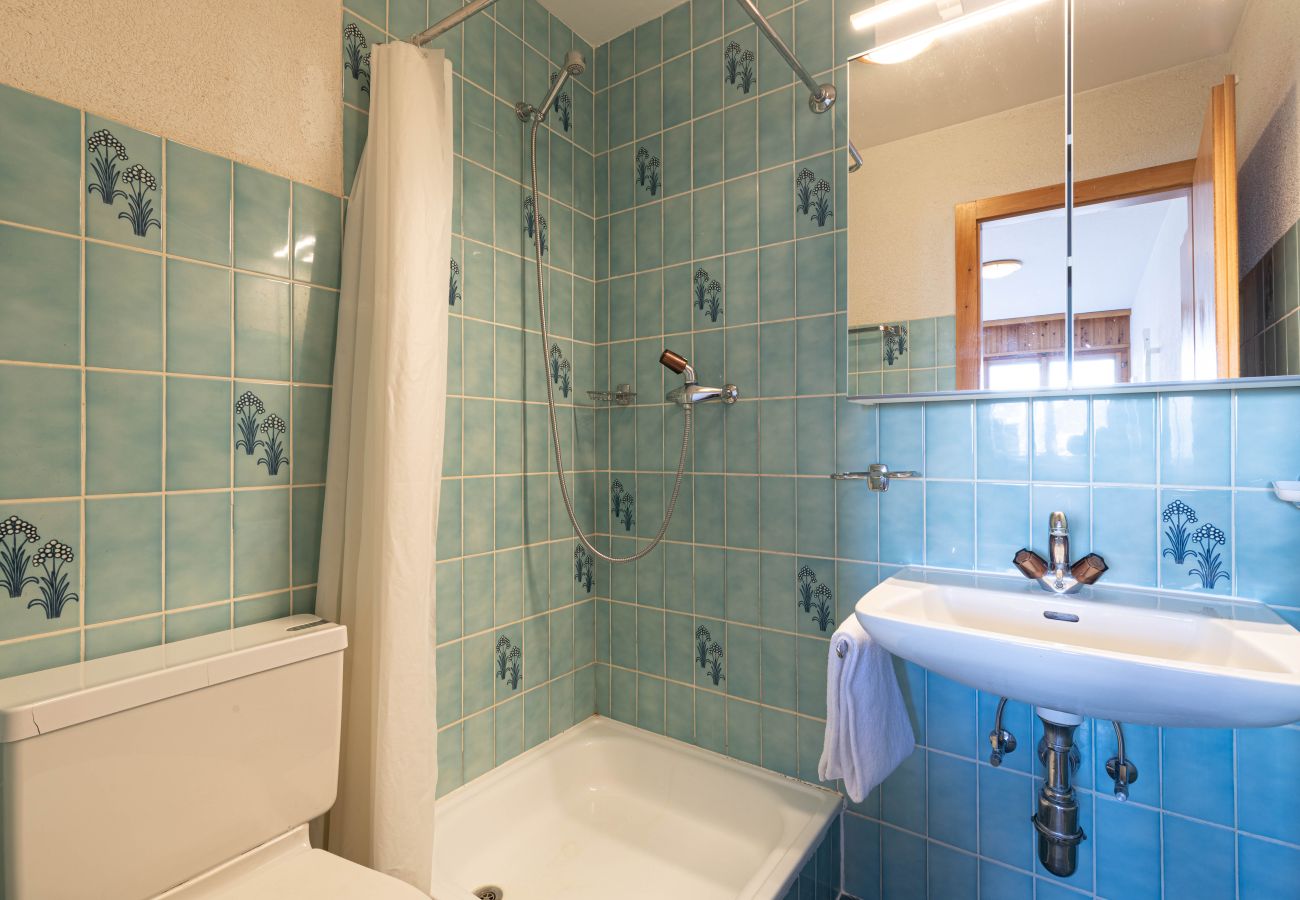 Appartement in Veysonnaz - Mélèzes R 043 - SKI LIFT apartment 8 pers