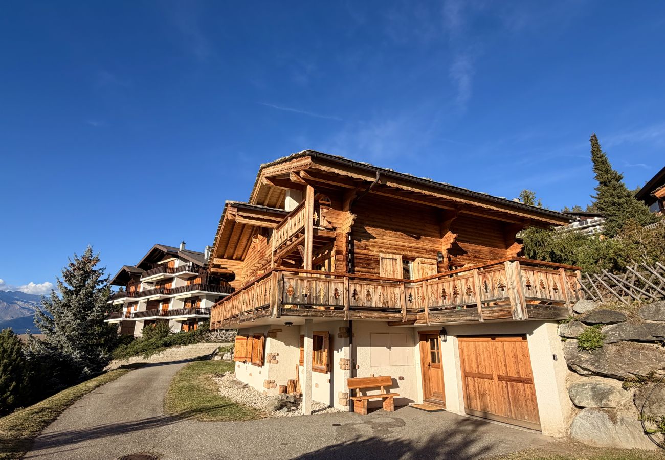 Chalet in Veysonnaz - Chèvre d'Or SAUNA & VIEW chalet 10 pers