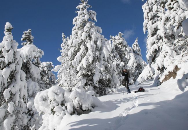 Studio à Orelle - Hameau 8 301 - SPA & PISCINE studio 2 pers. Studio à Orelle - Hameau 8 301 - SPA & PISCINE studio 2 pers.