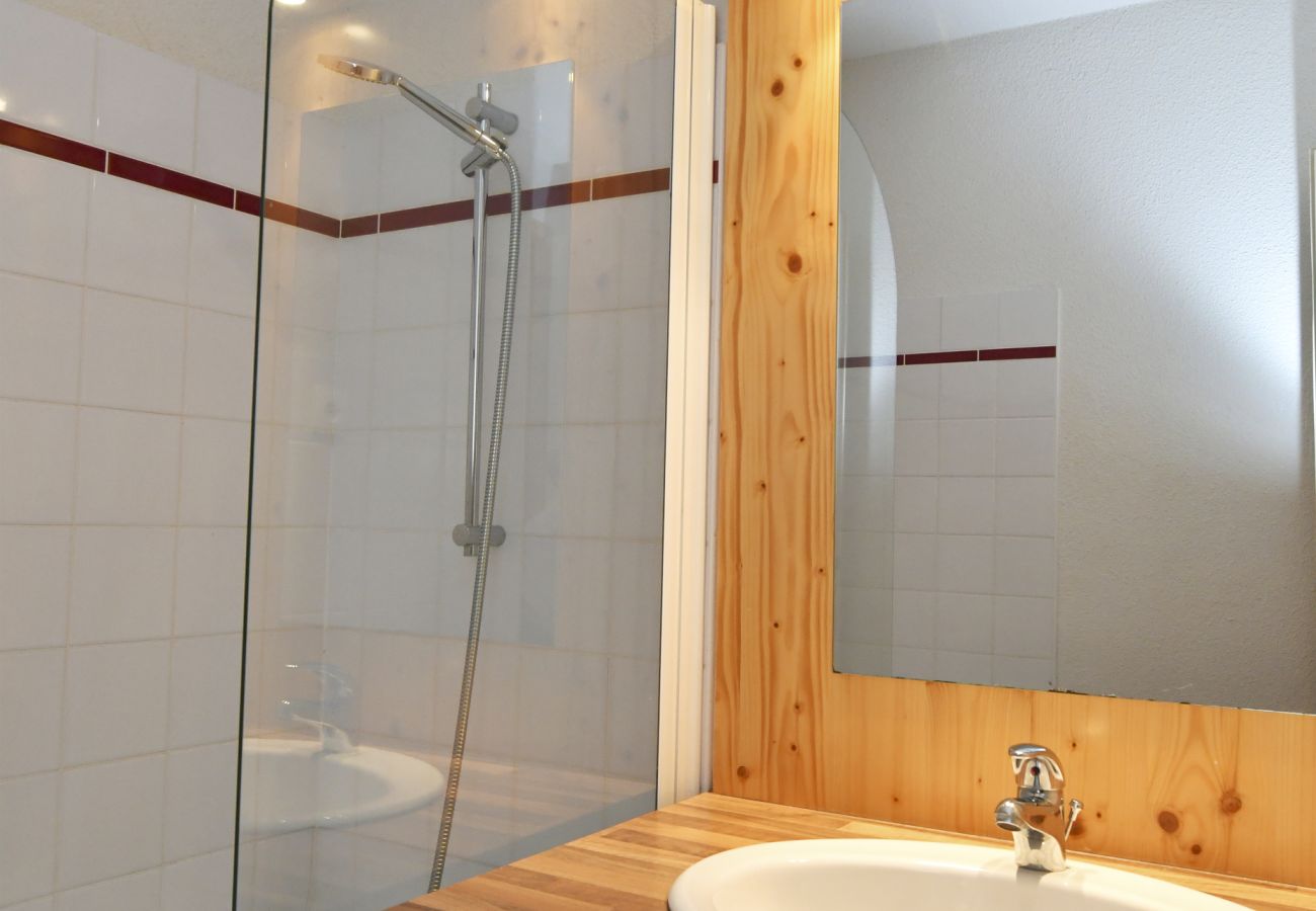 Salle de bain Appartement Vercors 1 035 à Chamrousse, en France