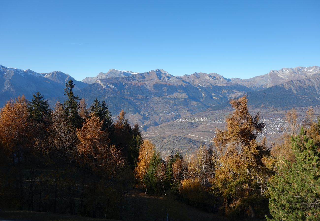 Appartement à Les Agettes - Mayens de l'Ours CZ 013 - MOUNTAIN apartment 8 per