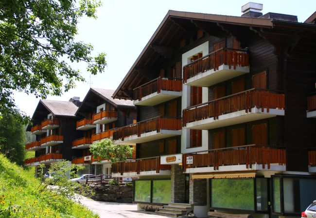 Appartement à Les Agettes - Mayens de l'Ours CZ 030 - MOUNTAIN apartment 6 per Appartement à Les Agettes - Mayens de l'Ours CZ 030 - MOUNTAIN apartment 6 per