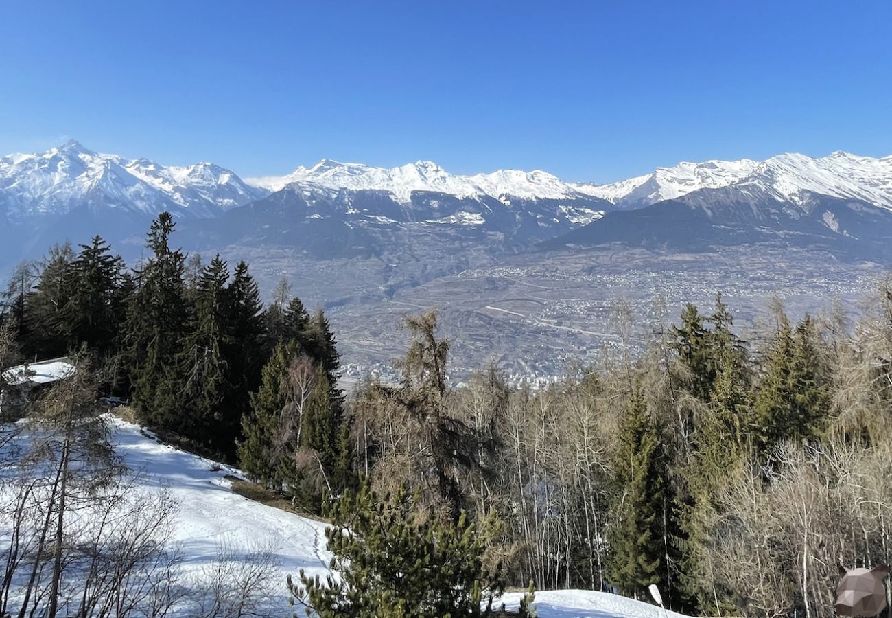 Appartement à Les Agettes - Mayens de l'Ours CZ 030 - MOUNTAIN apartment 6 per