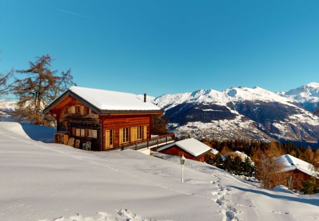 Chalet à Thyon-Les Collons - Narnia SKI IN & SKI OUT chalet 14 pers