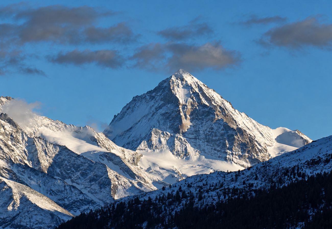 Chalet à Thyon-Les Collons - Narnia SKI IN & SKI OUT chalet 14 pers