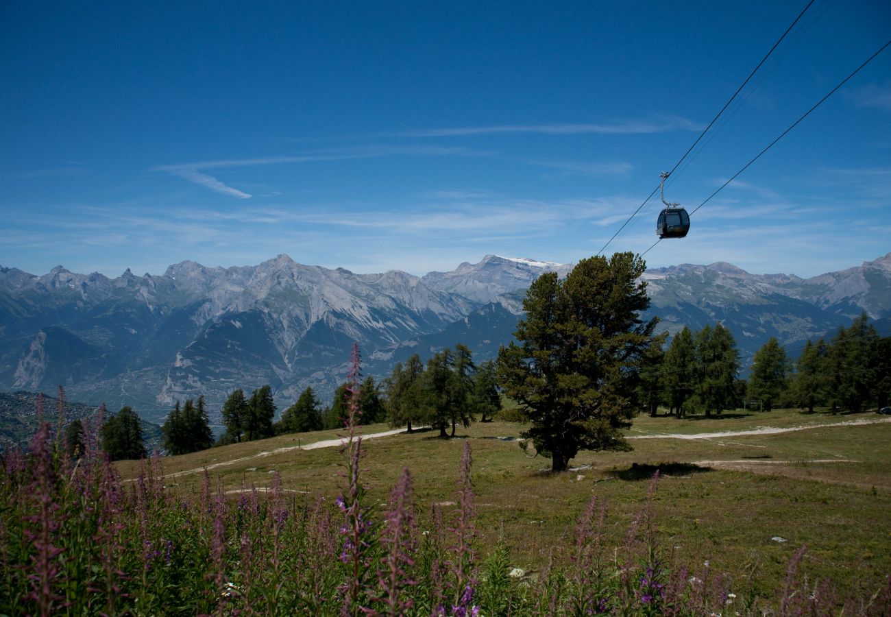 Appartement à Veysonnaz - Fontanettaz V 030 - MOUNTAIN apartment 8 pers