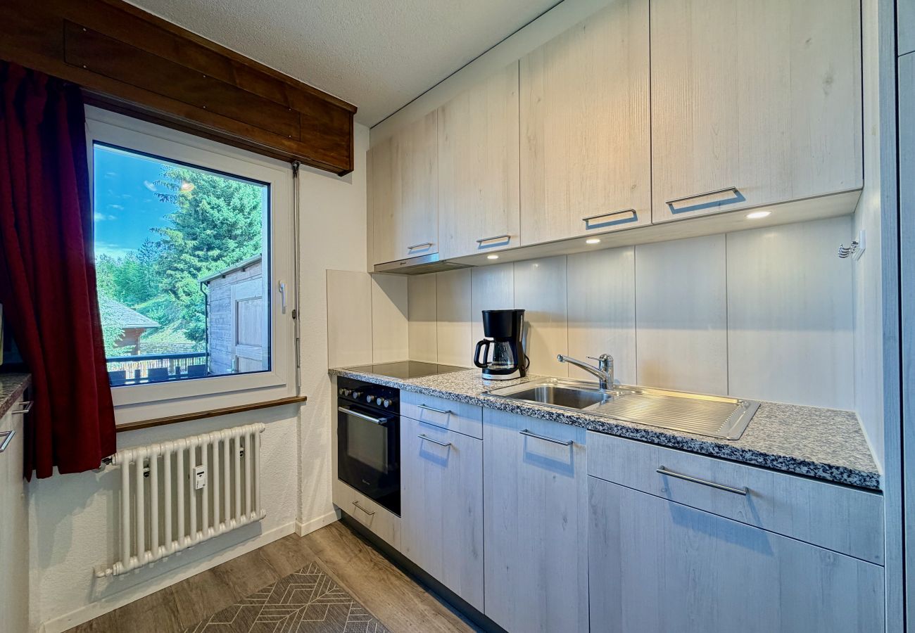 Appartement à Veysonnaz - Magrappé M 647 - SKI LIFT apartment 5 pers