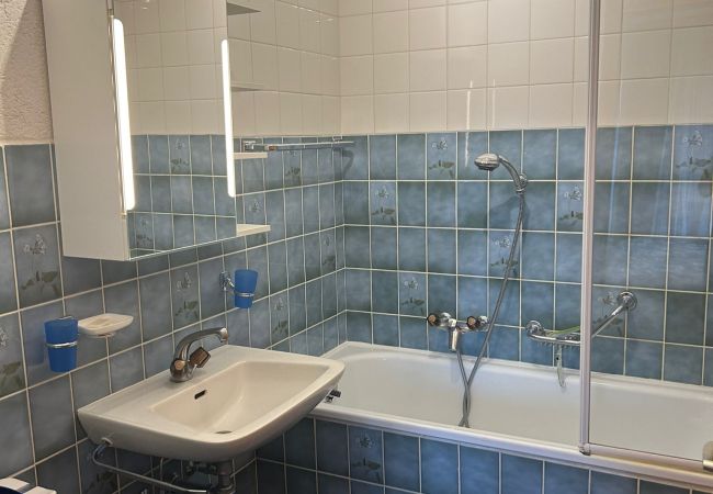 Salle de bain Appartement Mélèzes K 021, à Veysonnaz en Suisse