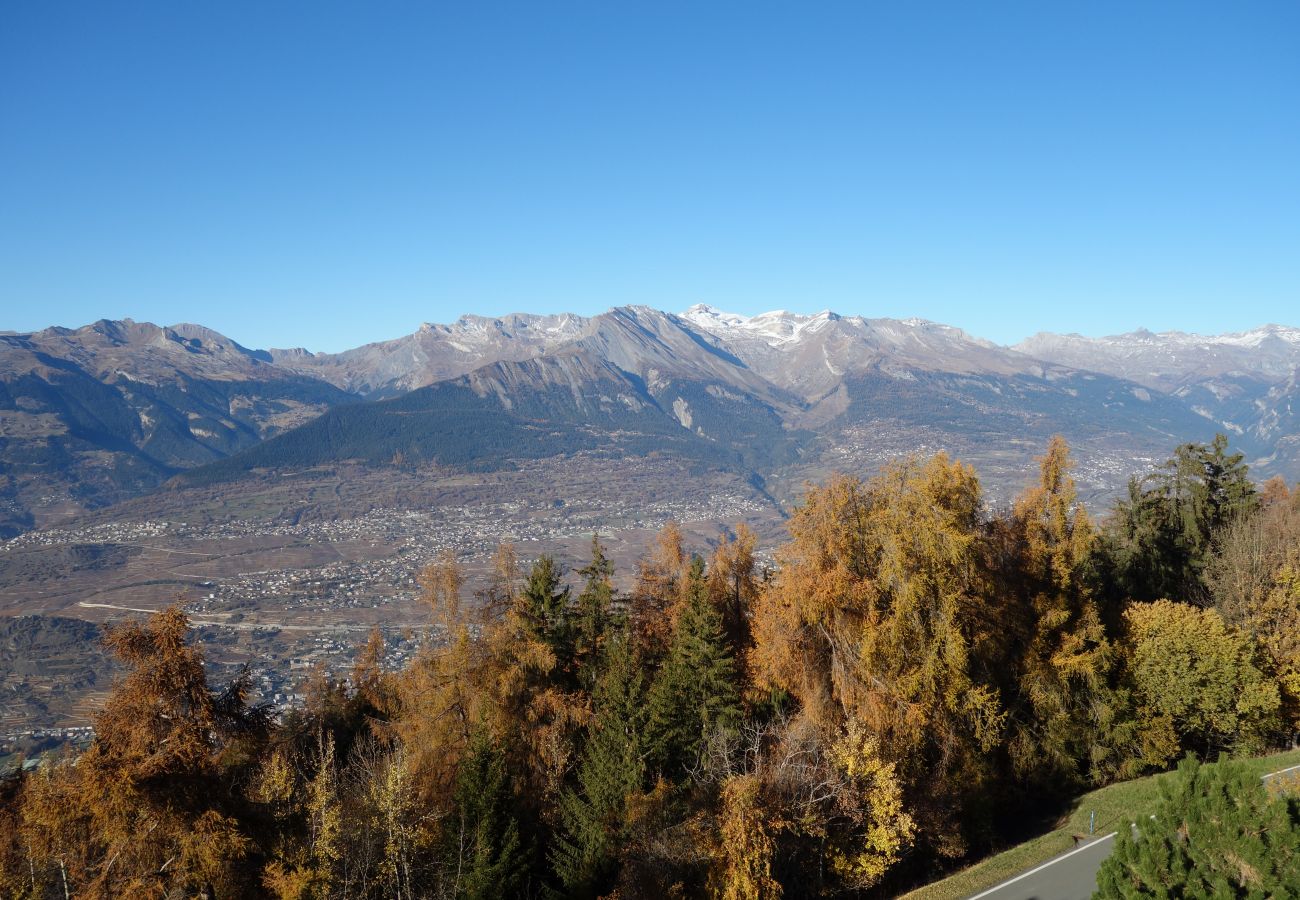 Appartement à Les Agettes - Mayens de l'Ours CZ 031 - MOUNTAIN apartment 6 per