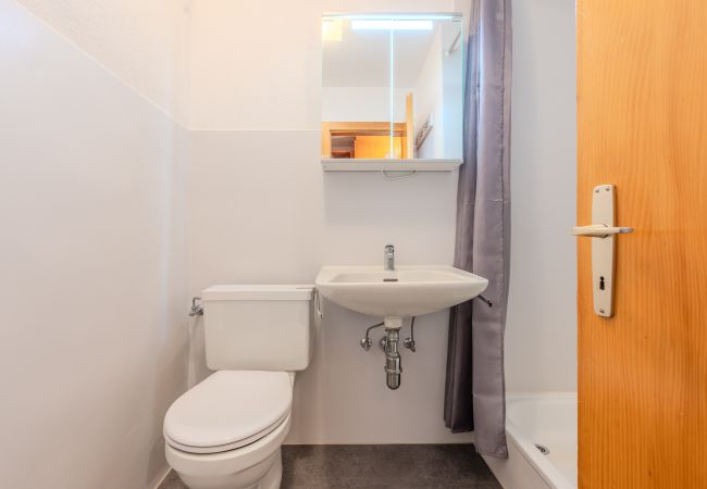 Appartement à Veysonnaz - Greppons P 011 - MOUNTAIN apartment 6 pers Appartement à Veysonnaz - Greppons P 011 - MOUNTAIN apartment 6 pers