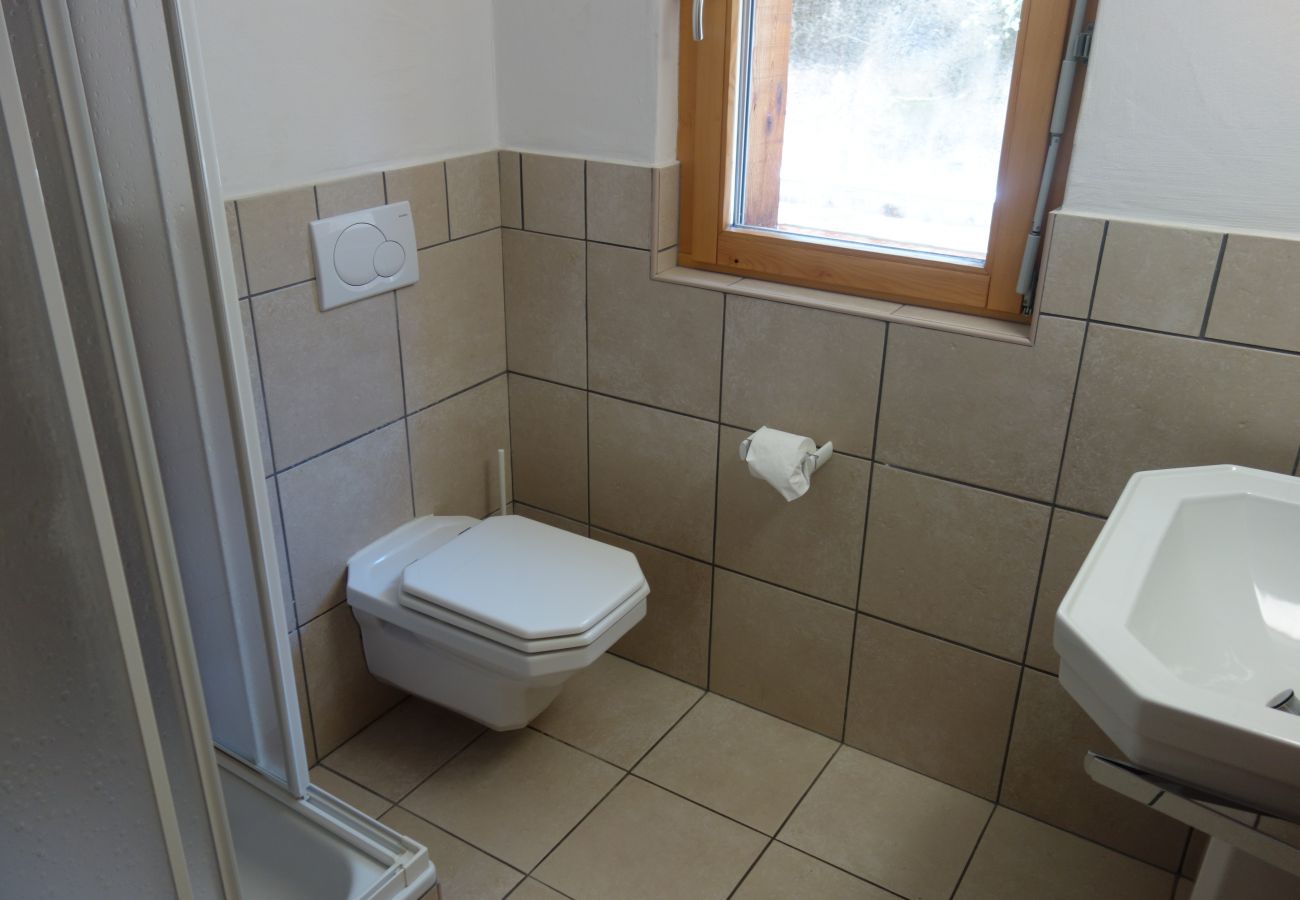 Salle de bain Appartement Plein Ciel VA 033, à Veysonnaz en Suisse
