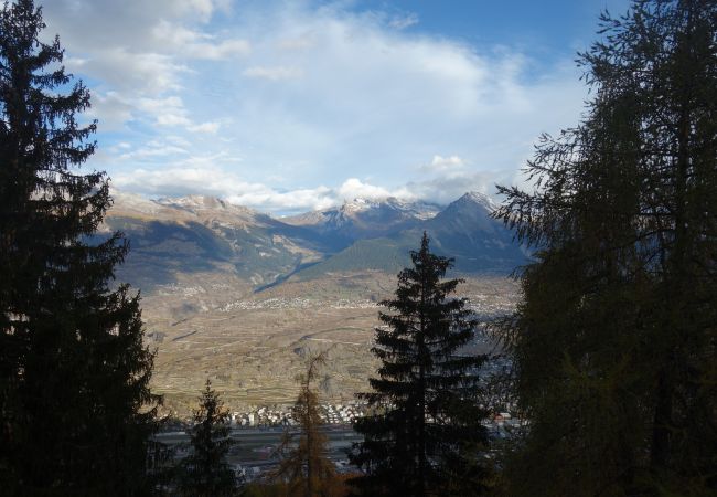 Appartement à Veysonnaz - Mélèzes K 010 - SKI & NATURE apartment 6 pers Appartement à Veysonnaz - Mélèzes K 010 - SKI & NATURE apartment 6 pers