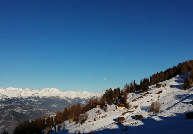 Appartement à Veysonnaz - Mélèzes K 010 - SKI & NATURE apartment 6 pers Appartement à Veysonnaz - Mélèzes K 010 - SKI & NATURE apartment 6 pers