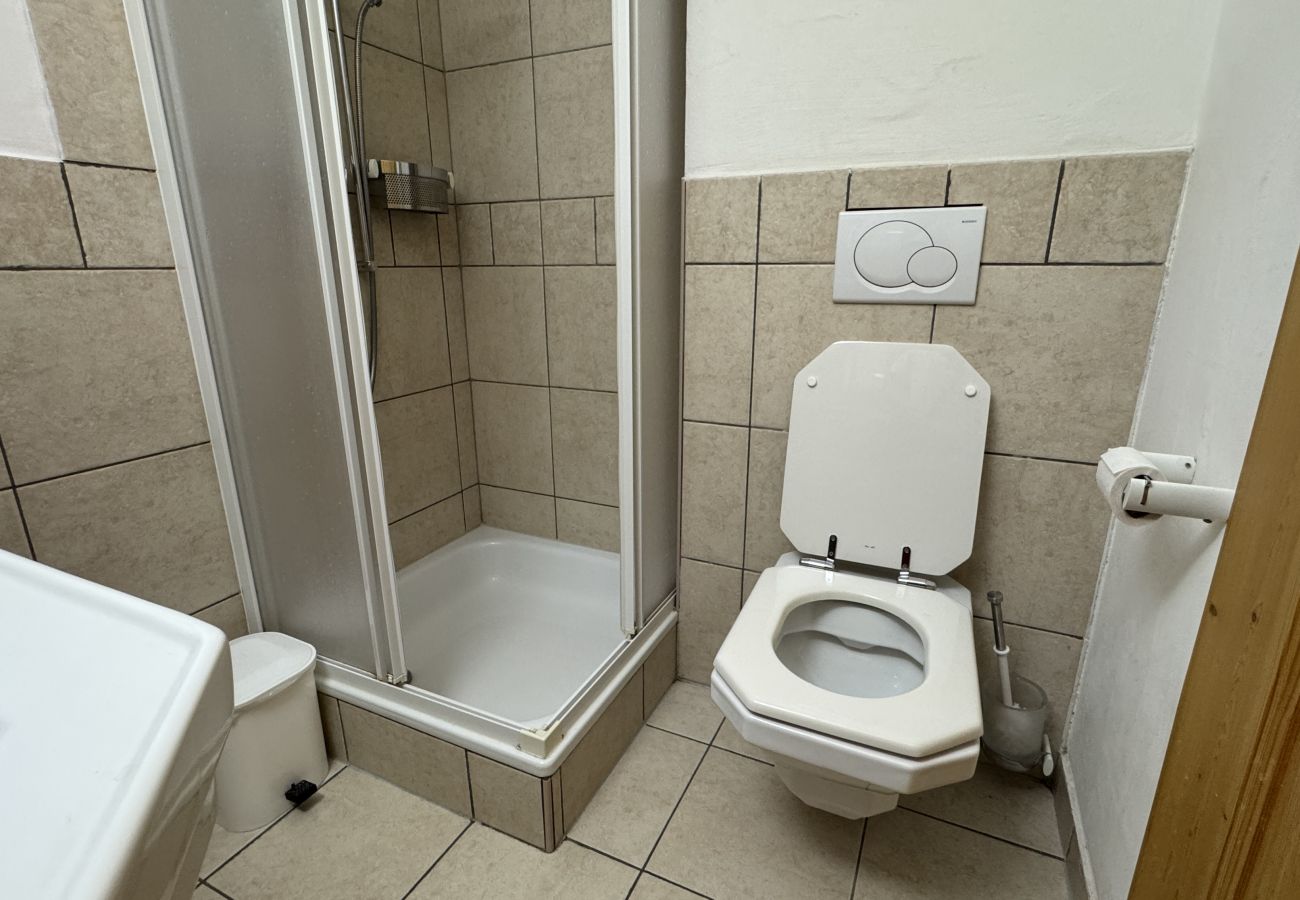 Salle de douche Appartement Plein Ciel VA 031 à Veysonnaz en Suisse