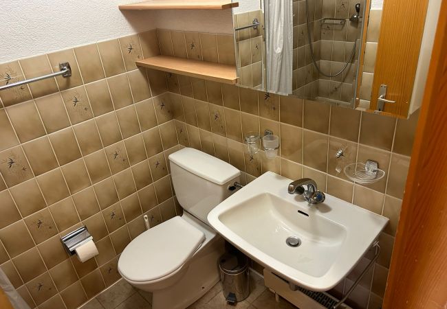 Salle de douche Appartement Hortensia H 021, à Veysonnaz en Suisse