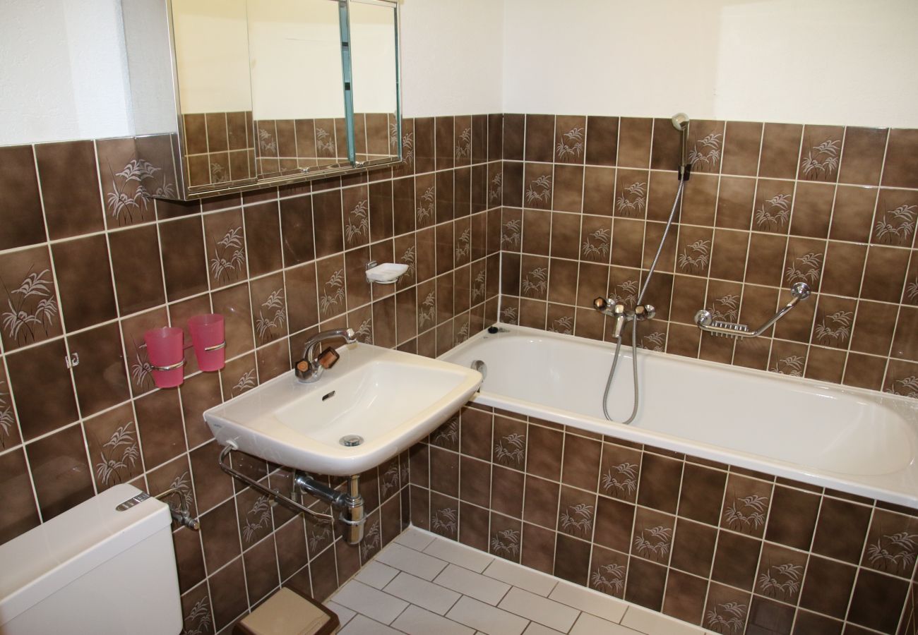 Salle de bain Appartement Les Mélèzes S 001, à Veysonnaz en Suisse 