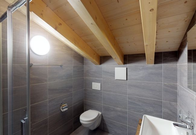 Appartement à Veysonnaz - Les Mayens MA 020 -  LUXURY apartment 12 pers Appartement à Veysonnaz - Les Mayens MA 020 -  LUXURY apartment 12 pers