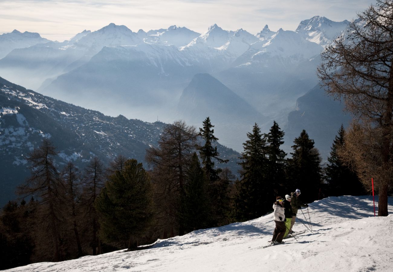 Appartement à Veysonnaz - La Crettaz app.dans chalet - SUNNY apartment 6 p