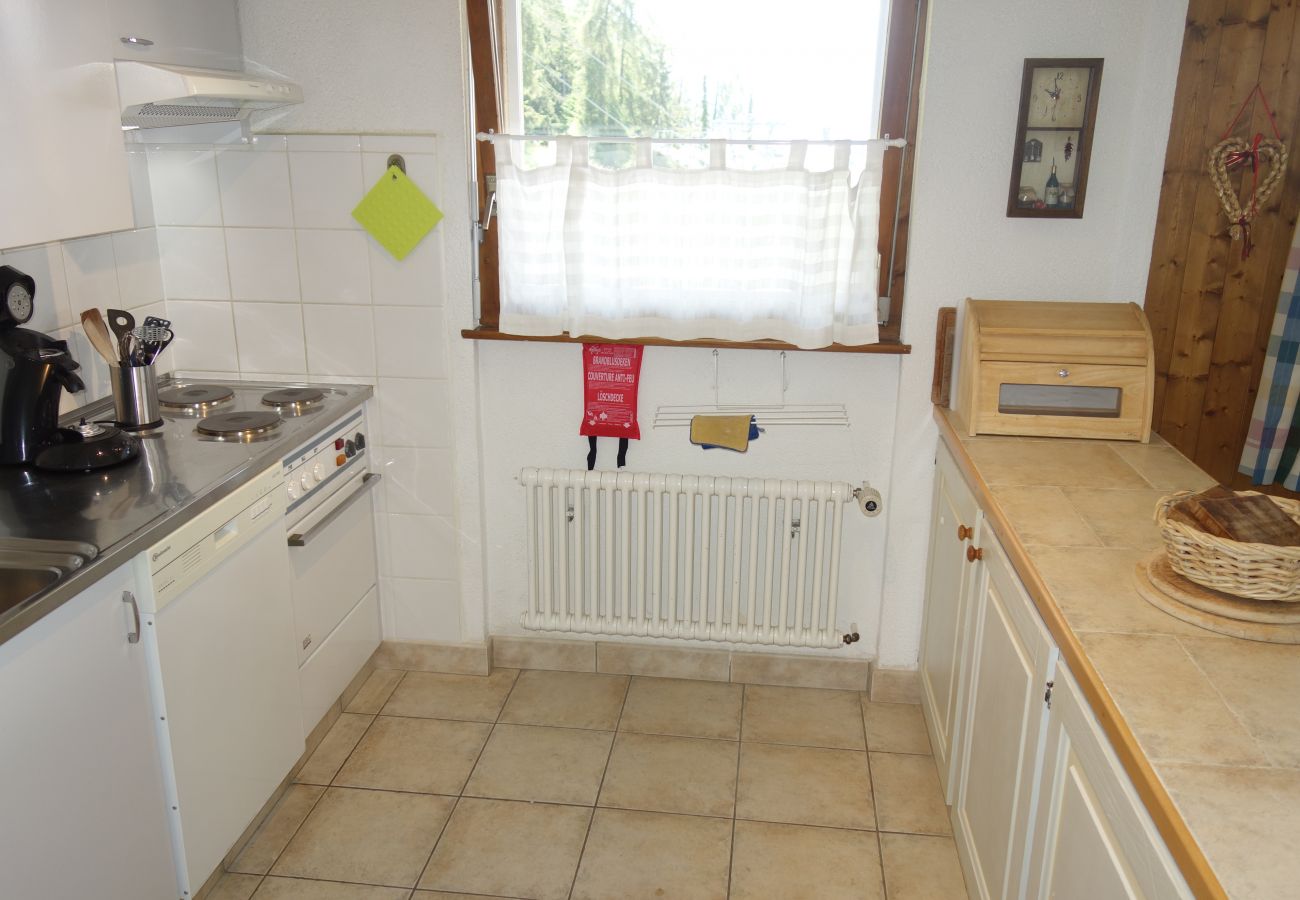 Appartement à Veysonnaz - Magrappé M 344 - SKI LIFT apartment 6 pers