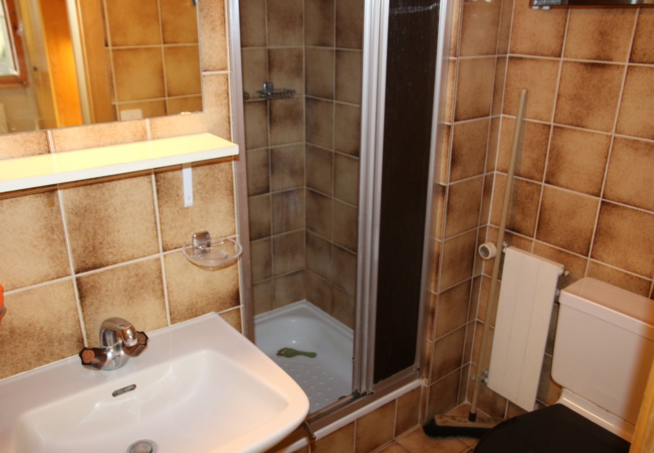 Salle de bain Appartement Les Mélèzes S 023, à Veysonnaz en Suisse