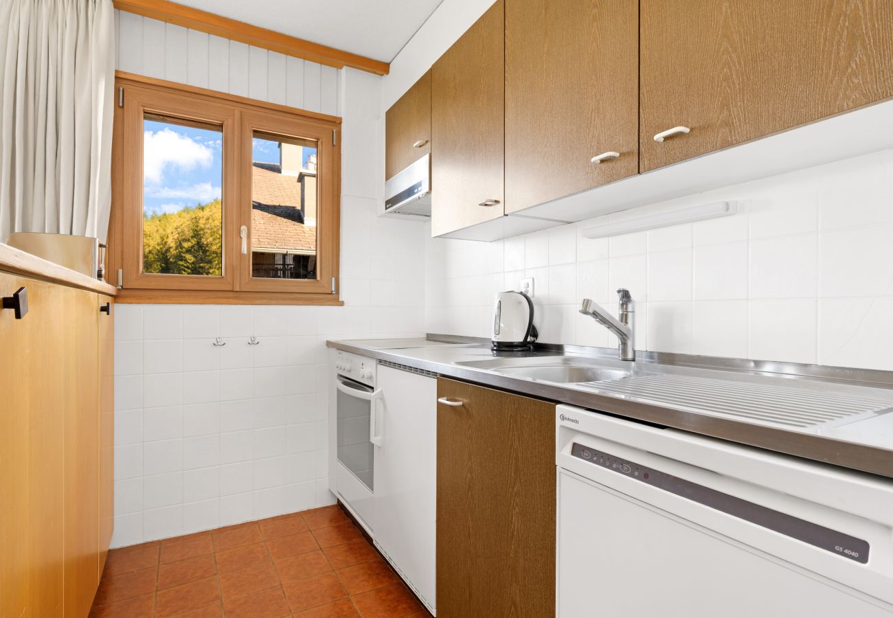 Appartement à Veysonnaz - Mélèzes K 020 - SKI & NATURE apartment 4 pers