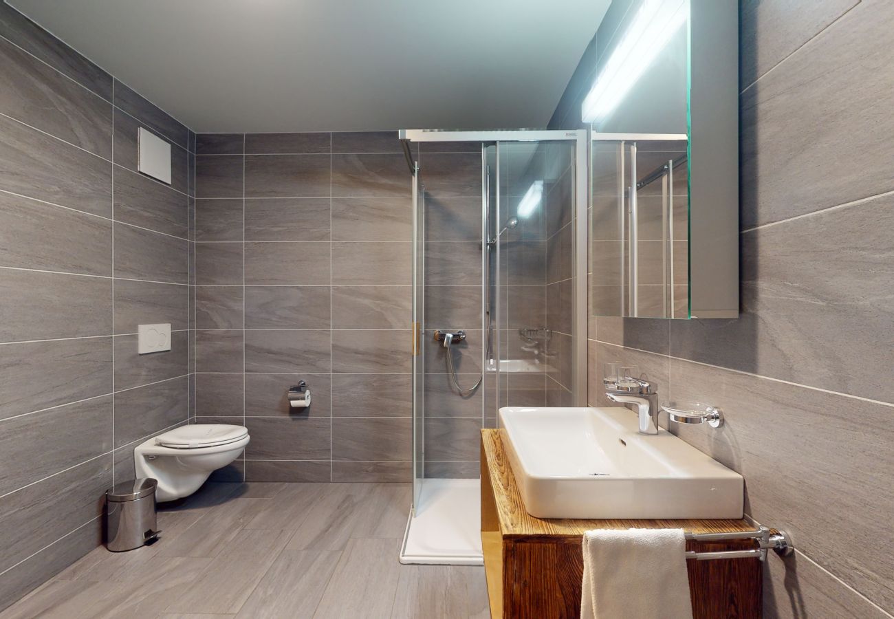 Salle de douche Appartement Les Mayens MA 021, à Veysonnaz en Suisse