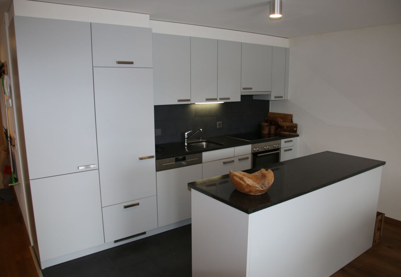 Appartement à Veysonnaz - Ski Paradise SP 002 - MOUNTAIN apartment 6 pers