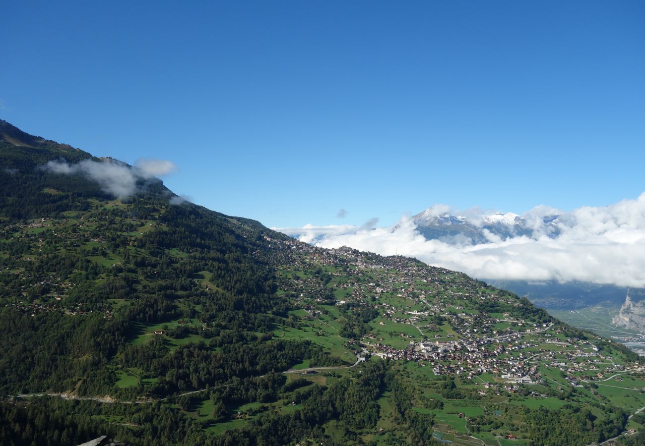 Vue été Appartement Y2 221 Balcons du Soleil 2 à Veysonnaz en Suisse