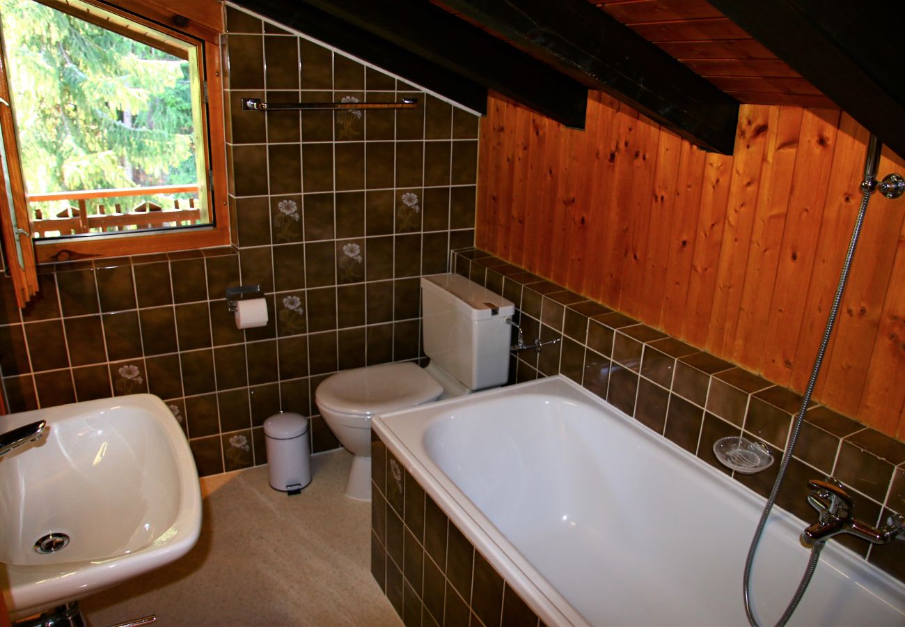 Salle de bain Appartement Les Mélèzes S 050, à Veysonnaz en Suisse