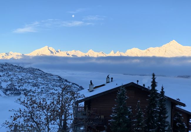 Appartement à Veysonnaz - Greppons O 002 - MOUNTAIN apartment 6 pers Appartement à Veysonnaz - Greppons O 002 - MOUNTAIN apartment 6 pers