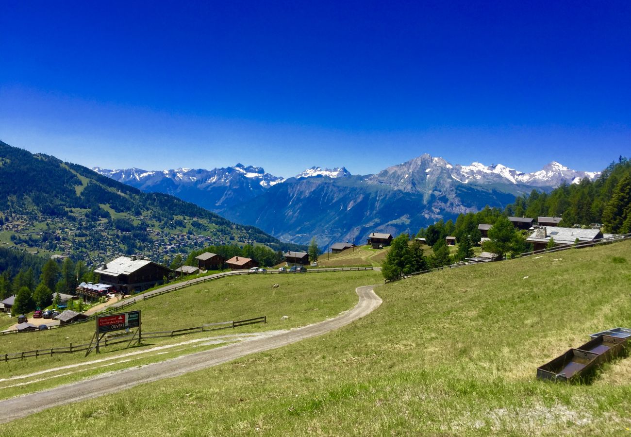 Appartement à Haute-Nendaz - Pracondu 2 001 - OUTDOOR & FUN  charming apartment