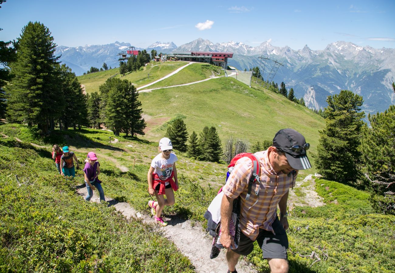 Appartement à Haute-Nendaz - Pracondu 1 201 - OUTDOOR & FUN  charming apartment