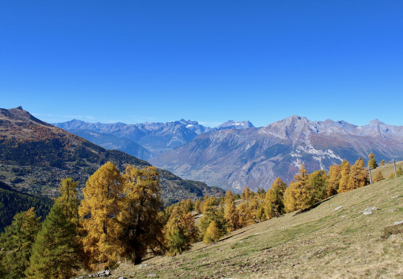 Appartement à Haute-Nendaz - Pracondu 1 402 - OUTDOOR & FUN  charming apartment