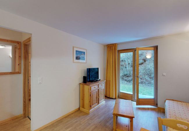 Haute-Nendaz - Appartement