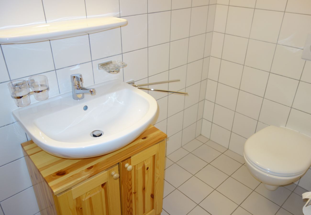 Appartement à Haute-Nendaz - Pracondu 1 104 - OUTDOOR & FUN  apartment 6 pers