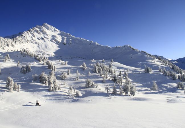 Appartement à Haute-Nendaz - Pracondu 2 005 - OUTDOOR & FUN  apartment 6 pers Appartement à Haute-Nendaz - Pracondu 2 005 - OUTDOOR & FUN  apartment 6 pers